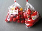 空宙トマト2009-2.jpg