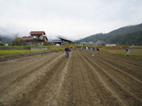 komugihasyu2006.jpg