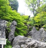 ryokou2008-3.jpg